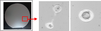 fd1bf-68778aa735512-7ca5128dfb33ff29da72516a30abb4365441e787.png
